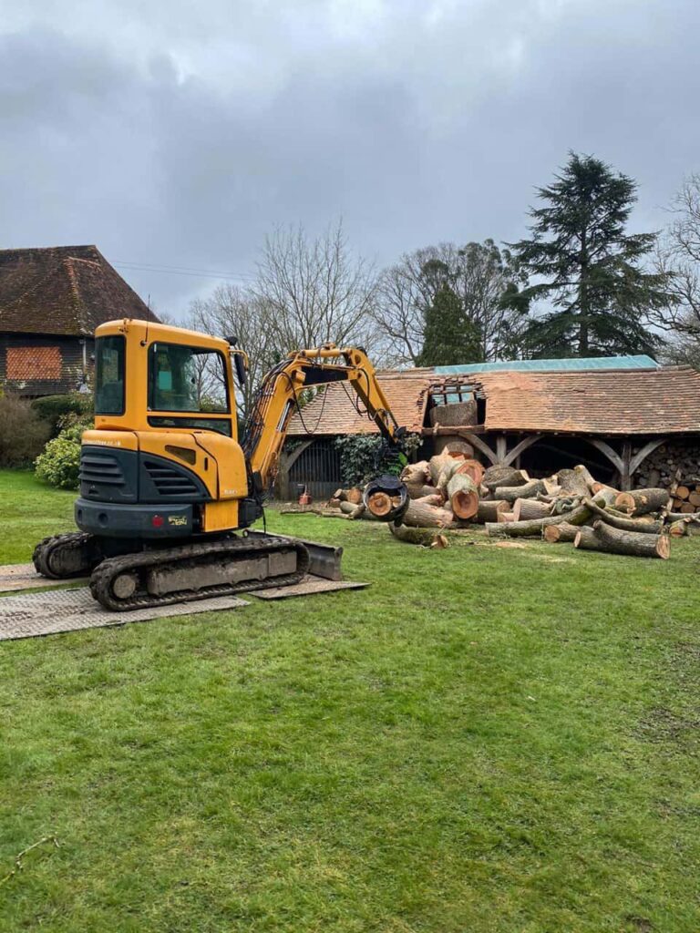 This is a photo of a tree which has grown through the roof of a barn that is being cut down and removed. There is a digger that is removing sections of the tree as well. Sandy Tree Surgeons