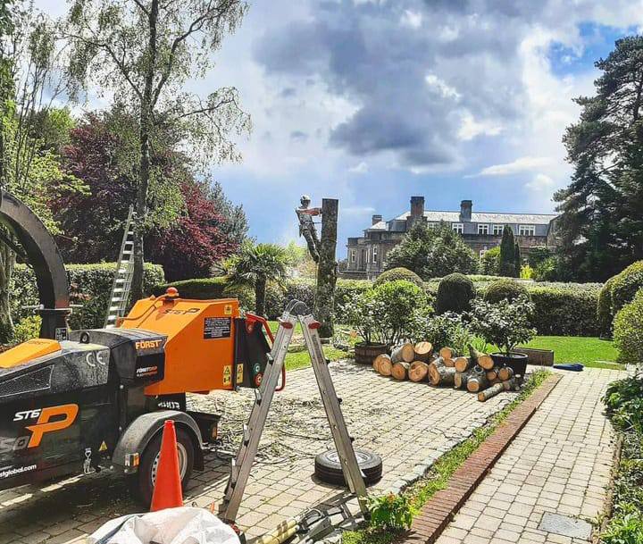 This is a photo of a tree being felled. A tree surgeon is currently removing the last section, the logs are stacked in a pile. Sandy Tree Surgeons