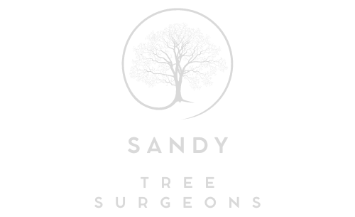 Sandy Tree Surgeons